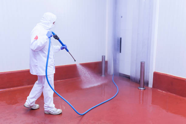 Pre-Holiday Cleaning in Fabrica, TX