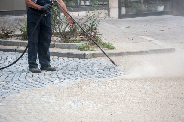 Animal Enclosure Cleaning in Fabrica, TX